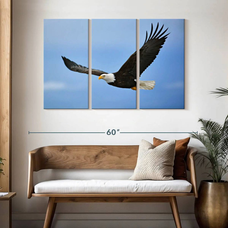 Gliding Bald Eagle, 32" H x 50" W