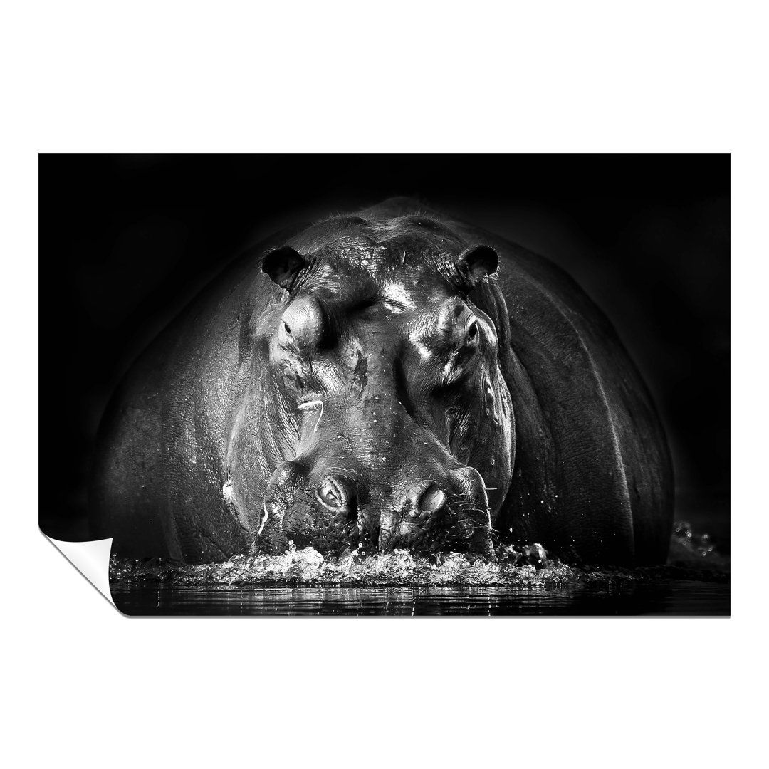 Powerful Hippopotamus Coming out of Water Close up - Unframed Art Prints