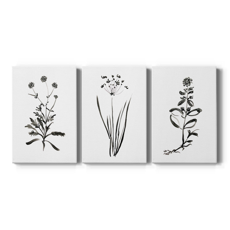 Inky Botanical I - Toile tendue avec châssis sur mesure - 3 pièces, H 12 po x l 24 po