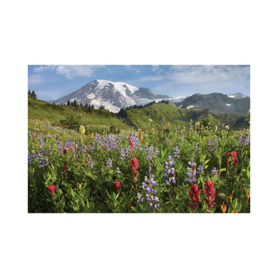 Paradise Meadow And Mount Rainier, Mount Rainier National Park by Tim Fitzharris - Wrapped Canvas Print
