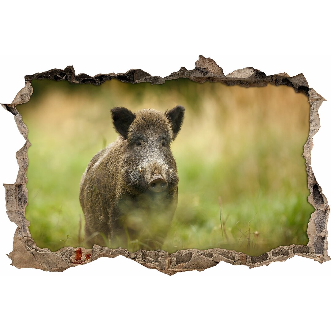 Wandaufkleber Graceful Wild Boar in the Wild