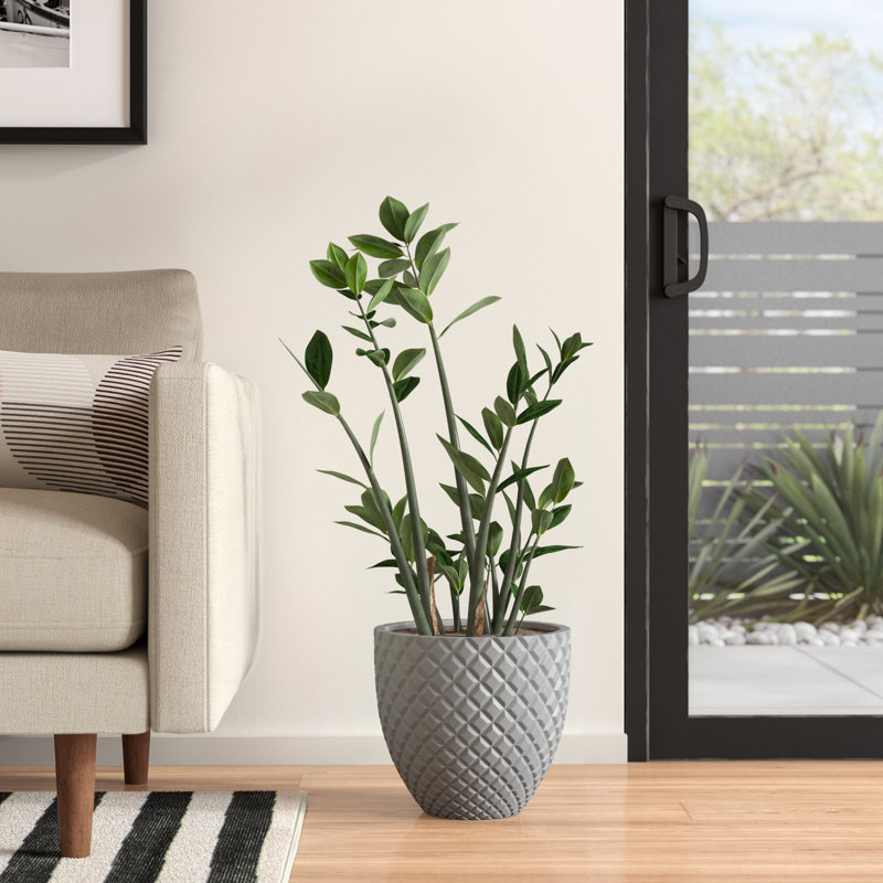 Pot à fleurs fait à la main Winderst, Gris, H 11 po x l 12 po x P 12 po