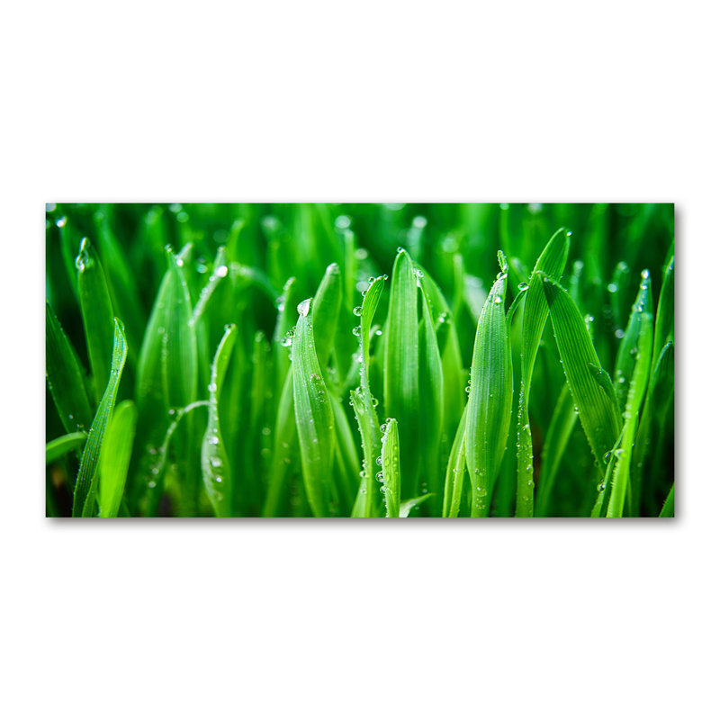 Grass - No Frame Print on Canvas