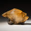 Twinned Golden Calcite Crystal from Elmwood Mine, Tennessee (0.6247 lbs) Grams)
