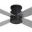 Winchendon 4-Blades Indoor Ceiling Fan with Remote-2009060858-2012197633
