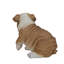 Statue chiot bouledogue