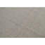 Area Rug in Gray