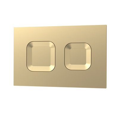 Matt Black Square Dual Flush Push Button