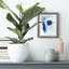 Spare Blue II - impression encadrée-118053358-118053357