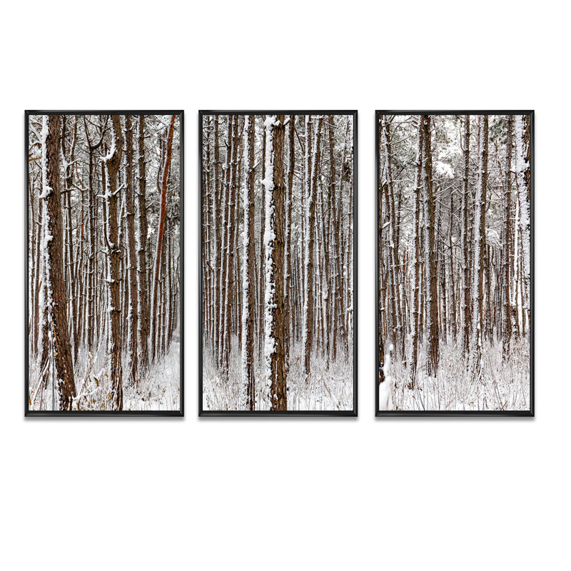 «Dense Pine Forest In Winter», ensemble d'art mural sur toile encadré paysage, Noir, H 20 po x l 36 po x P 1 po