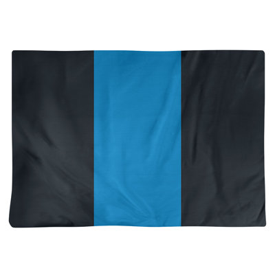 Récapitulatif 18" à rayures de football Carolina