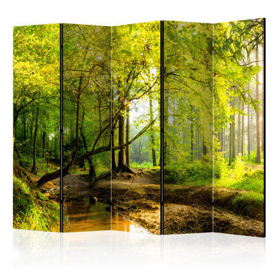 225cm W x 172cm H 5 - Panel Wood Folding Room Divider