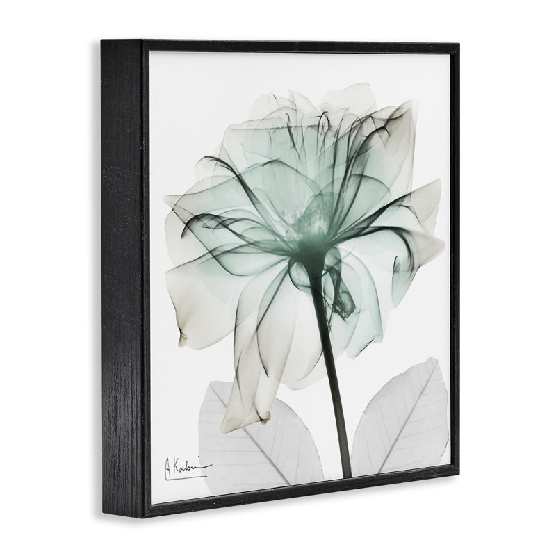 Giclée encadrée de pétales de fleurs uniques et uniques par Albert Koetsier, H 17 po x l 17 po, Giclée encadrée noir minuit