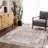 Herae Machine Washable Oriental Brown Area Rug-71043494