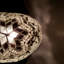 Bonanno Metal Arched Lamp
