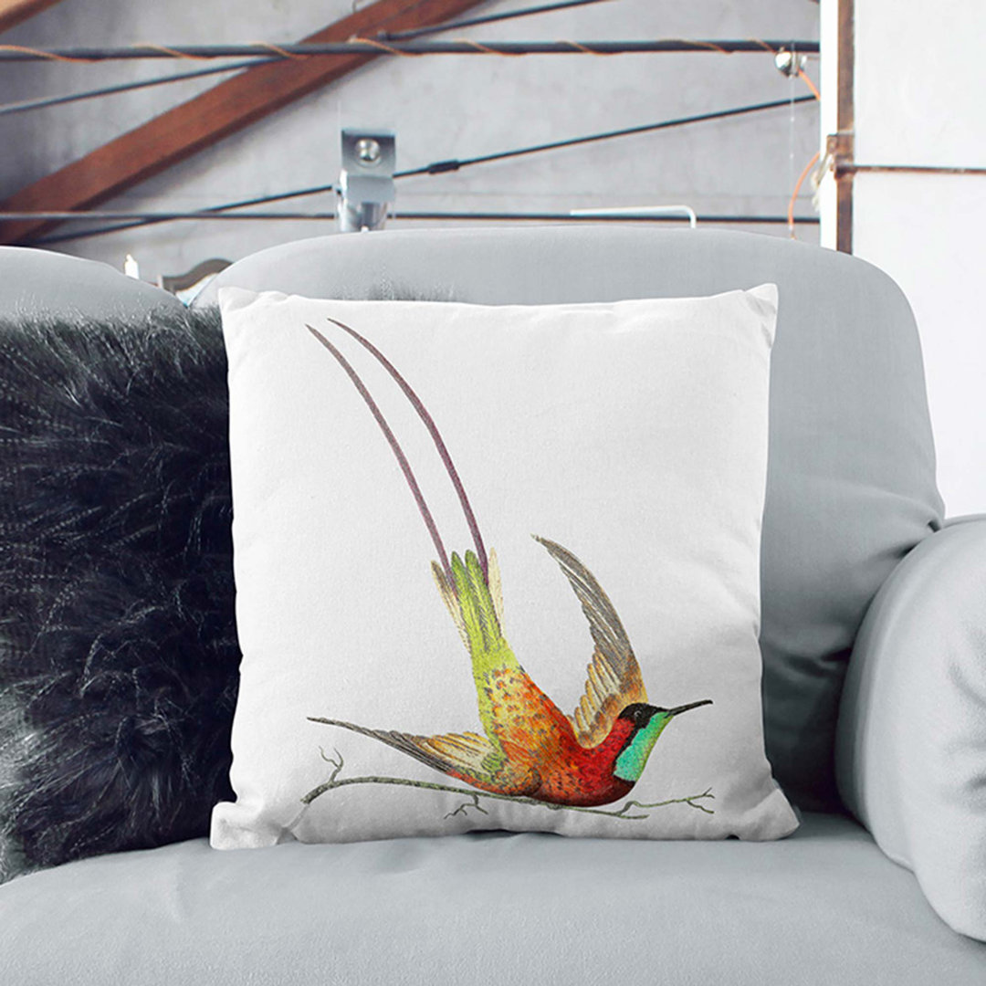 Long-Tailed Hummingbird by George Shaw Cushion with Filling