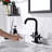 Centerset 2-handle Bathroom Faucet with Drain Assembly-75202221