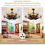  39,5 "ventilateurs de plafond de style campagnard industriel moderne avec lumières et télécommande-1840922077
