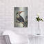 Toucan à bec rouge, v. «1748» par Aert Schouman, art mural en métal-1885729147