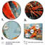 Crayfish Creek Dweller Collage - Animals Canvas Art Print-1227076668-1227077057