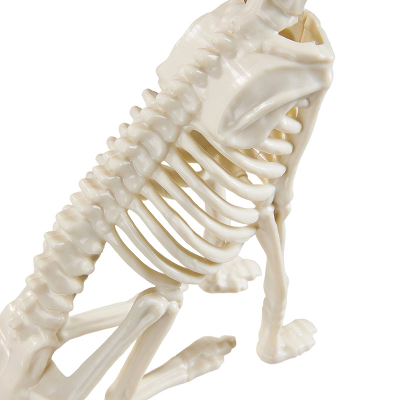 Halloween Decorative Accent