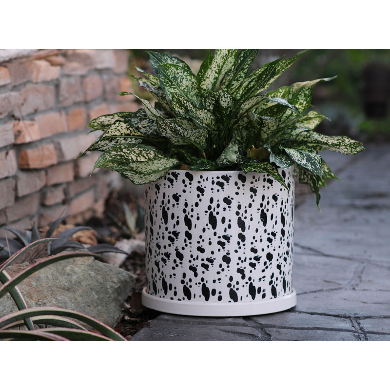 Pot de fleurs cylindrique en céramique émaillée, motif floral estampé, taille moyenne (lot de 4) - Intérieur/Extérieur