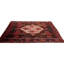 Oriental Area Rug in Rust