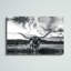 «Black and White Longhorn Cow I», photographie sur toile tendue-1925434037-1961283216-1889176534