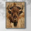 ANIMALS Series CDXCVI, reproduction encadrée - bois massif