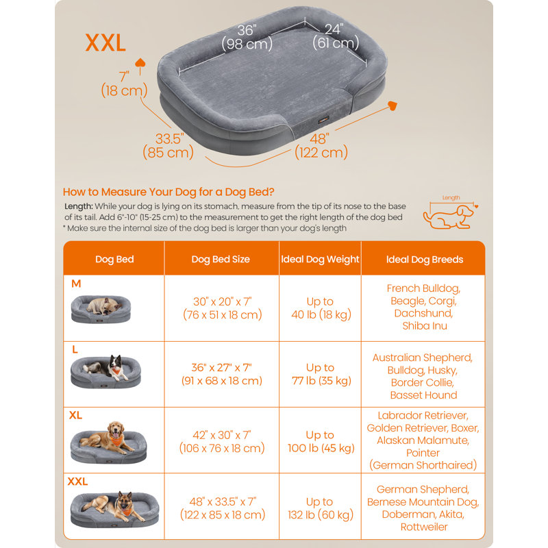 Pet Bed