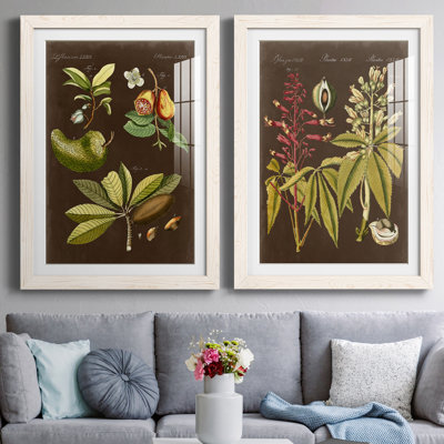 «Breadfruit On Suede», ensemble de 2 reproductions d'art graphique encadrées