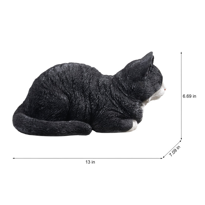 Chat tigré noir et blanc au repos, Noir et blanc