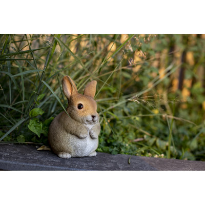 Statue chubby lapin debout