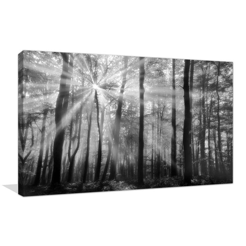 Breaking Through - photographie, H 18 po x l 30 po x P 1 po, Toile tendue