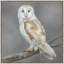 Mystic Nocturne Print by Jacob Lincoln-243756267