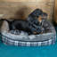 Winford Polyester Pet Bed-844119781