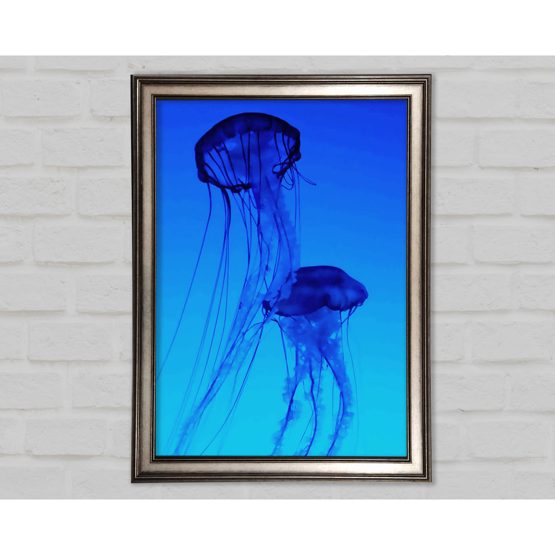 Gerahmtes Leinwandbild Jellyfish Duo