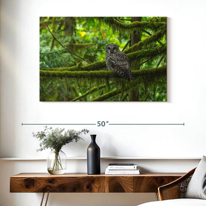 Brampt Mossy Tree Owl, 26" H x 39" W
