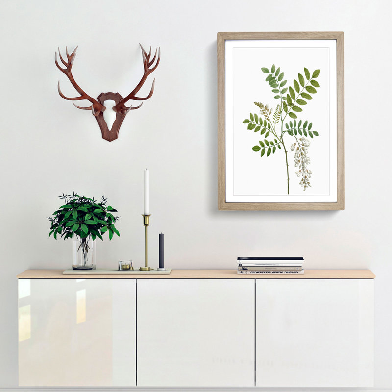 Acacia Tree Flowers by Pierre-Joseph Redoute - Single Picture Frame Painting, 63cm H x 45cm W x 2cm D, Oak Framed