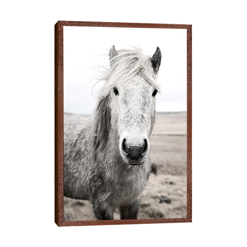 Heida I BW by Laura Marshall - Gallery-Wrapped Canvas Giclée on Canvas, Classic Wood Floater Framed, 101.6 cm H x 66.04 cm W