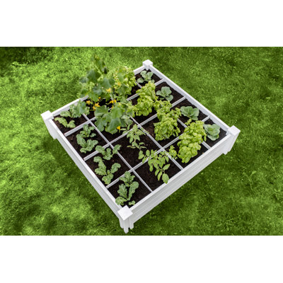 Wellinhall 4 ft x 4 ft Plastic Raised Garden Bed -  Arlmont & Co., CC852E8DFDC74E988BAD0651AD33D9BC