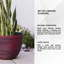 Pot à fleurs Nil-1298637459