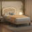 Aundreya Metal Platform Bed-361255361