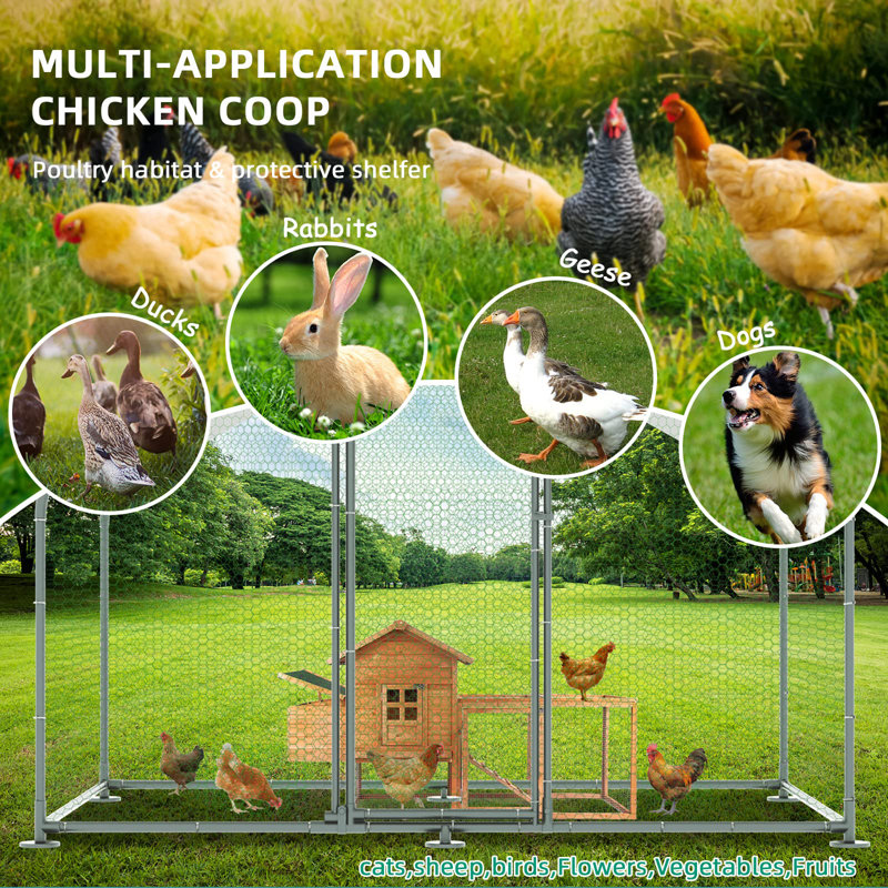 Chiriac Chicken Run, 78.7" H x 118" W x 78.7" D
