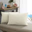 Ewing No Decorative Addition Indoor/Outdoor Lumbar Throw Pillow-1365895962