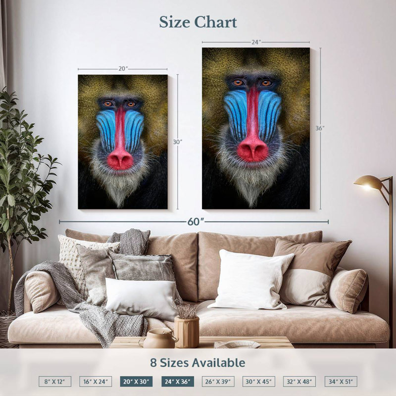 Brampt Mandrill Monkey, 36" H x 24" W