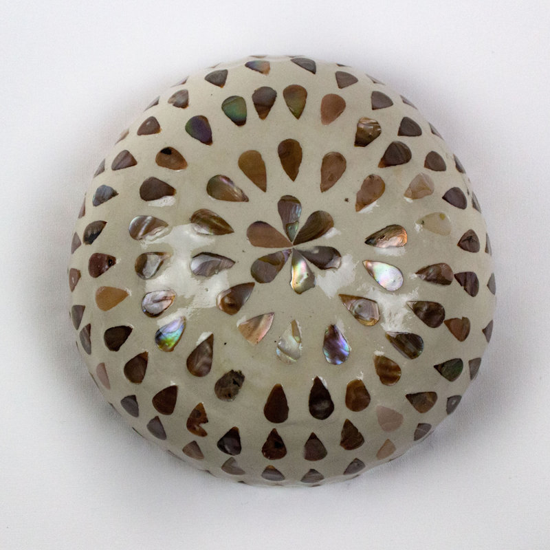 Luutske Shell / Capiz Accent 1