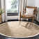 Derosier Natural Fiber Hand Woven Jute Geometric Rug