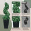 Artificial Boxwood Spiral Topiary Tree with Tall Black Planter, 3ft 2 Pack-240136939