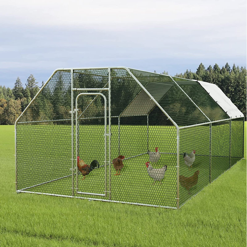 Poulailler avec grillage Brightling, H 75,6 po x l 112,8 po x P 230,4 po